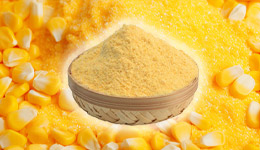 上海某品牌全营养玉米粉食品项目