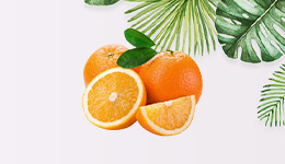湖北省脐橙供应链市场发展项目