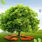 生态环境监测项目合作商业计划书