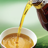 广西山茶油量产及渠道销售项目首轮188金宝搏客服2000万元